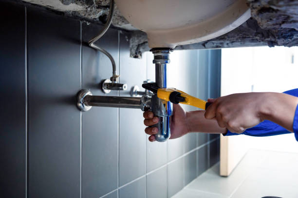 Best Commercial Plumbing Services  in Woodlands, CA